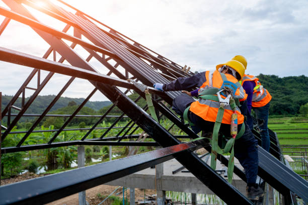 Best Metal Roofing Contractor  in Mount Prospect, IL