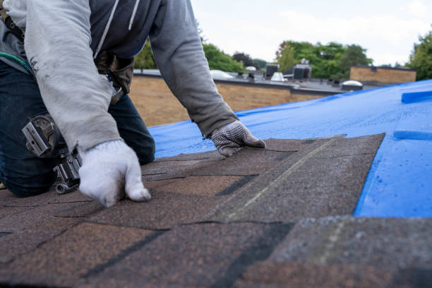 Best Commercial Roof Installation  in Mount Prospect, IL