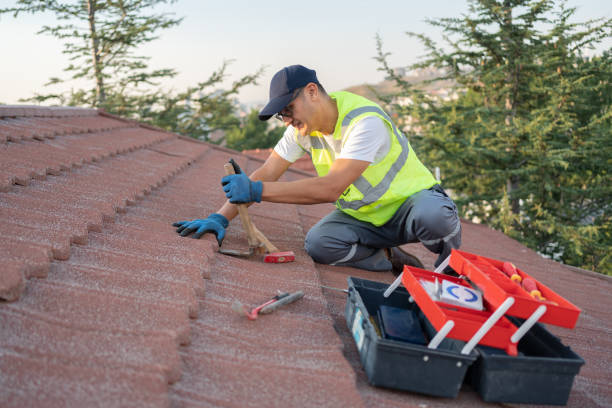 Residential Roof Replacement in Mount Prospect, IL
