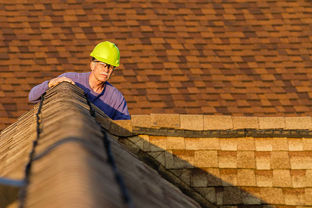 Best New Roof Installation  in Mount Prospect, IL