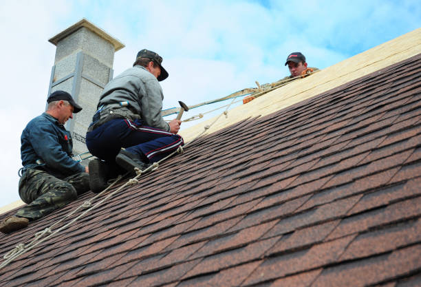 Best Storm Damage Roof Repair  in Mount Prospect, IL